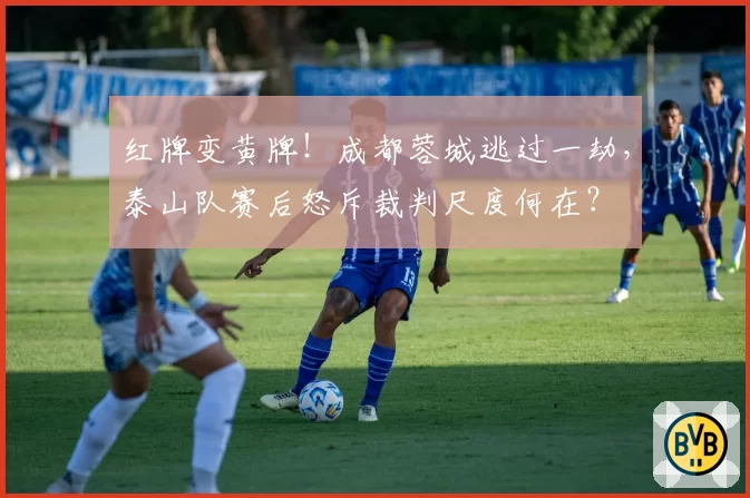 红牌变黄牌！成都蓉城逃过一劫，泰山队赛后怒斥裁判尺度何在？