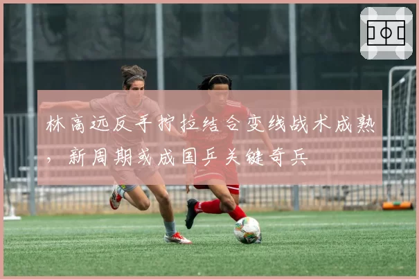 林高远反手拧拉结合变线战术成熟,新周期或成国乒关键奇兵